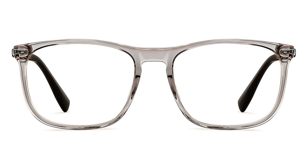 -Frame Wayfarer--EG -Frame Wayfarer--EG