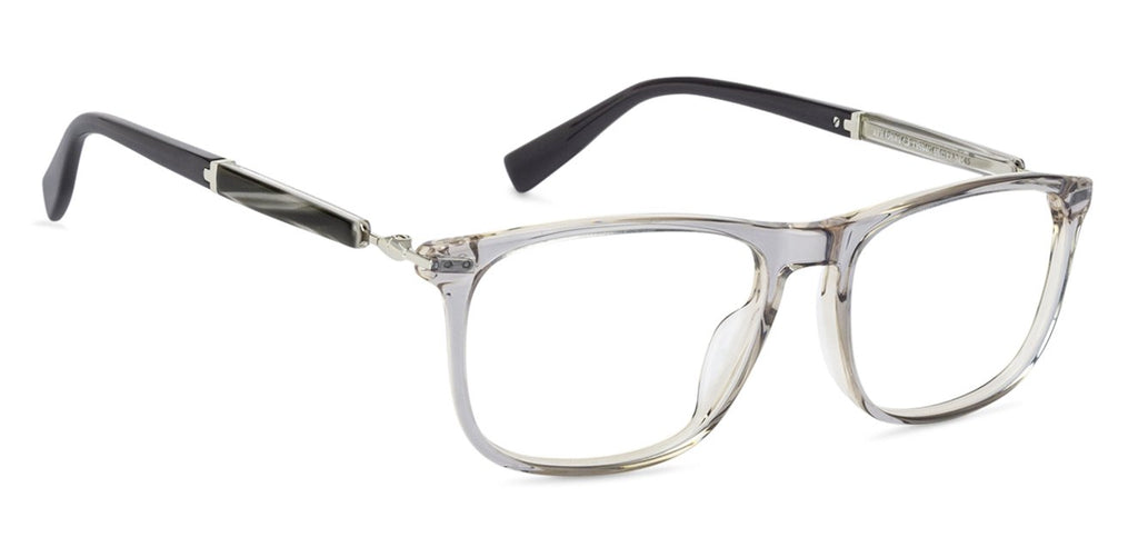 -Frame Wayfarer--EG -Frame Wayfarer--EG