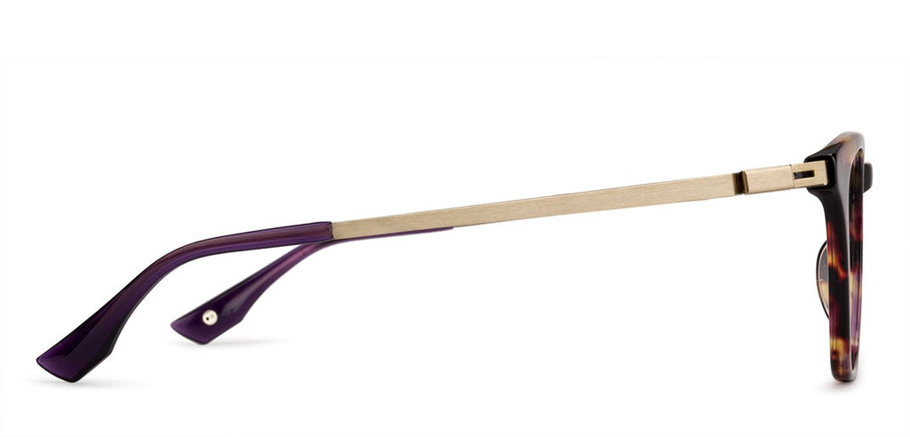 -Frame Wayfarer--EG -Frame Wayfarer--EG