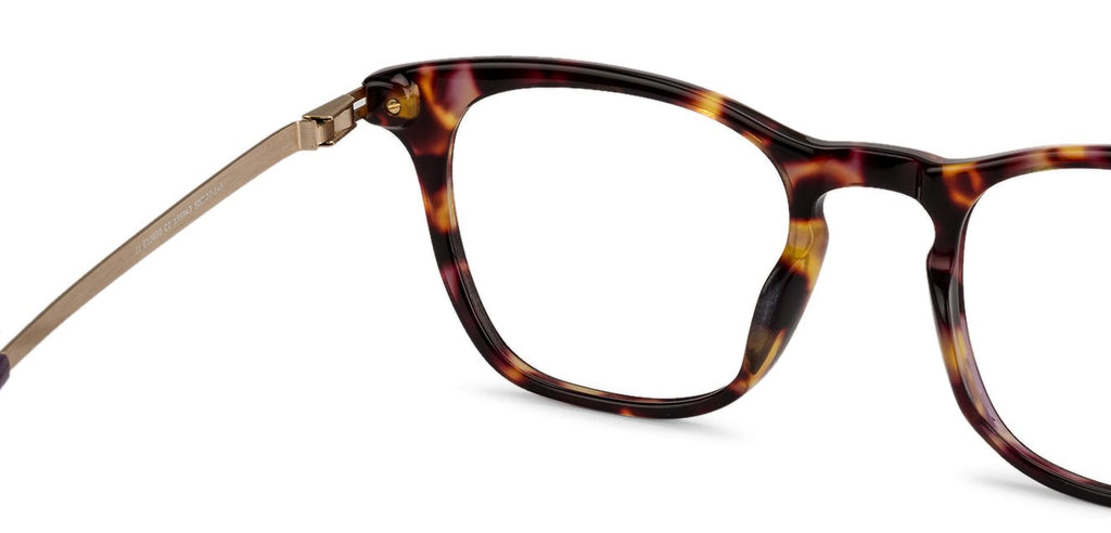 -Frame Wayfarer--EG -Frame Wayfarer--EG