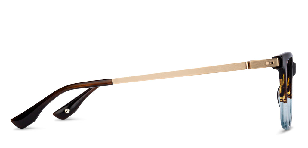 -Frame Wayfarer--EG -Frame Wayfarer--EG