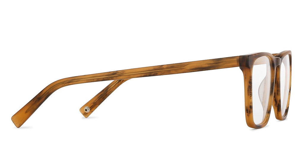 -Frame Wayfarer--EG -Frame Wayfarer--EG