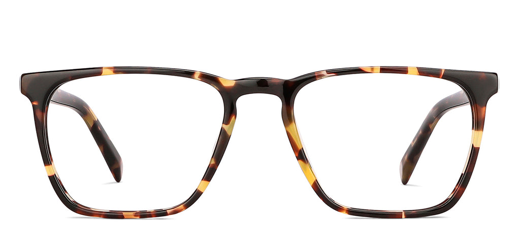-Frame Wayfarer--EG -Frame Wayfarer--EG