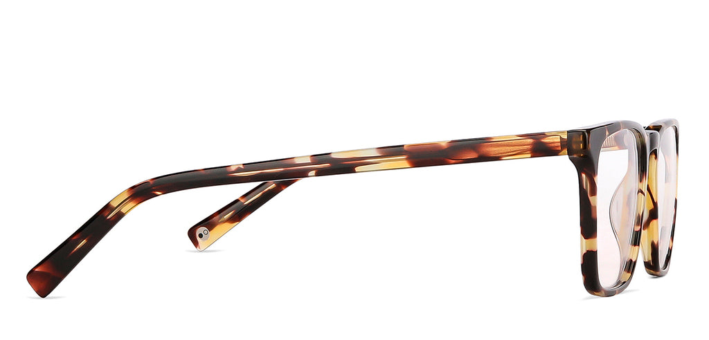 -Frame Wayfarer--EG -Frame Wayfarer--EG