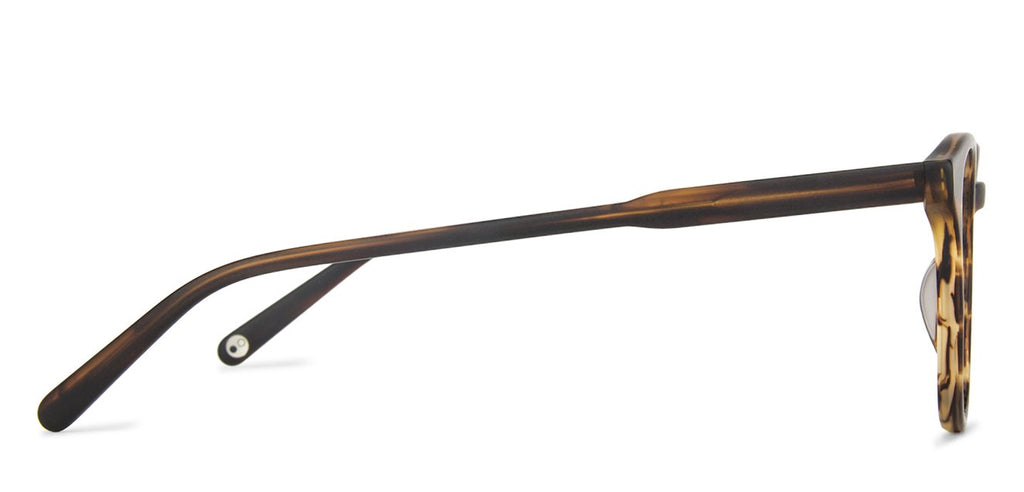 Square Eyeglasses-Frame Round--EG Square Eyeglasses-Frame Round--EG