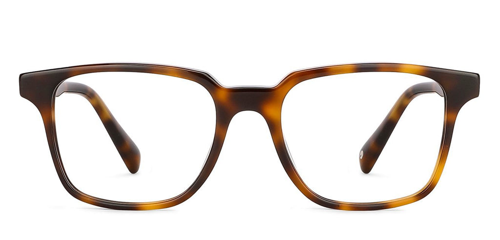 -Frame Wayfarer--EG -Frame Wayfarer--EG