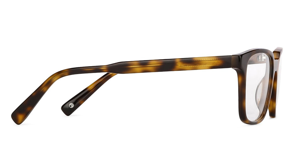 -Frame Wayfarer--EG -Frame Wayfarer--EG