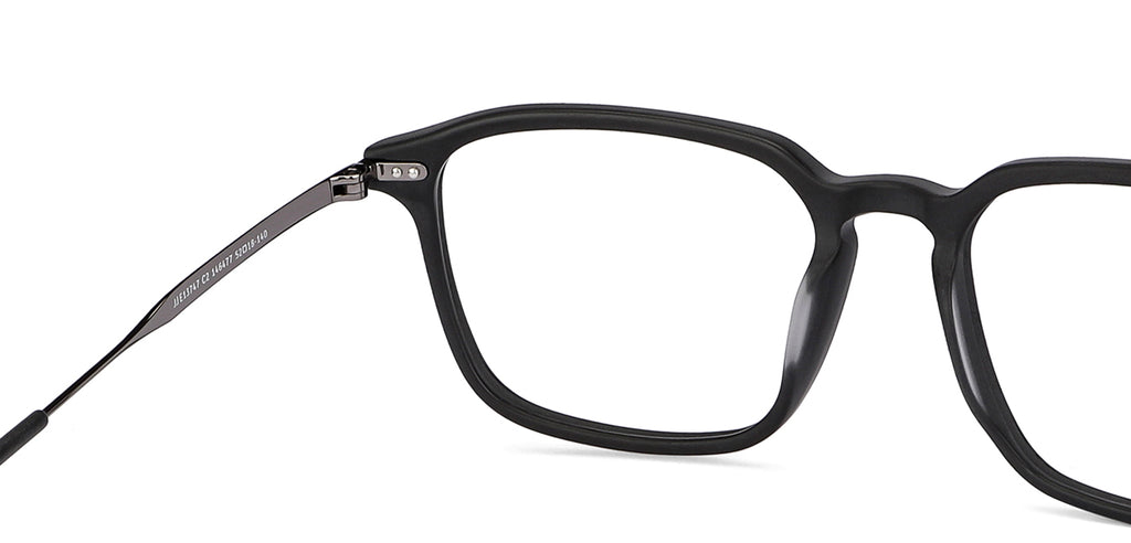 -Frame Wayfarer--EG -Frame Wayfarer--EG