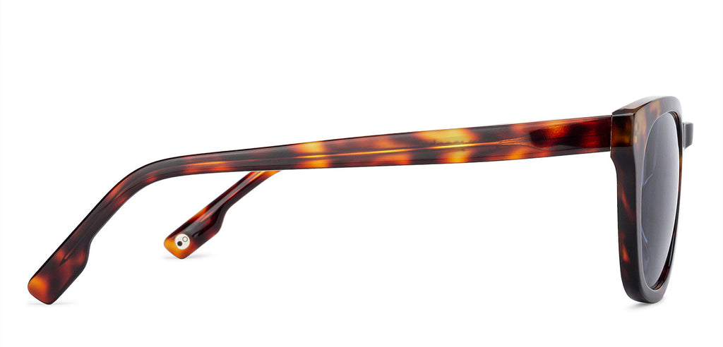-Frame Wayfarer--SG -Frame Wayfarer--SG