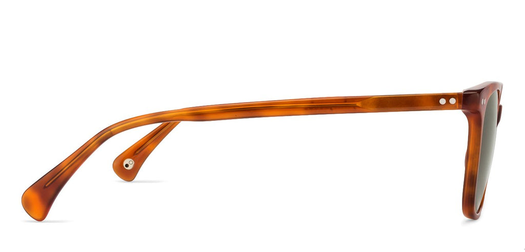 -Frame Wayfarer--SG -Frame Wayfarer--SG