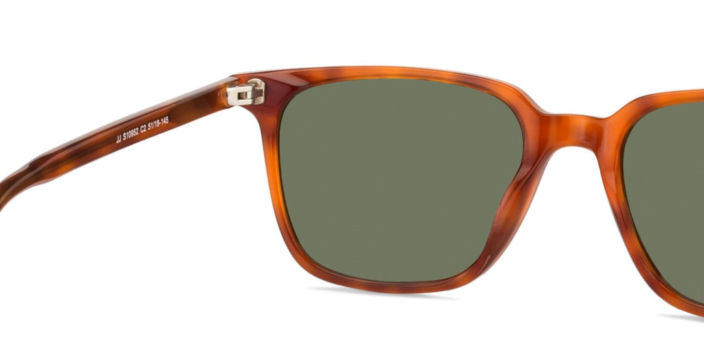 -Frame Wayfarer--SG -Frame Wayfarer--SG