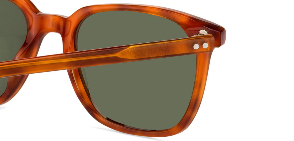 -Frame Wayfarer--SG -Frame Wayfarer--SG