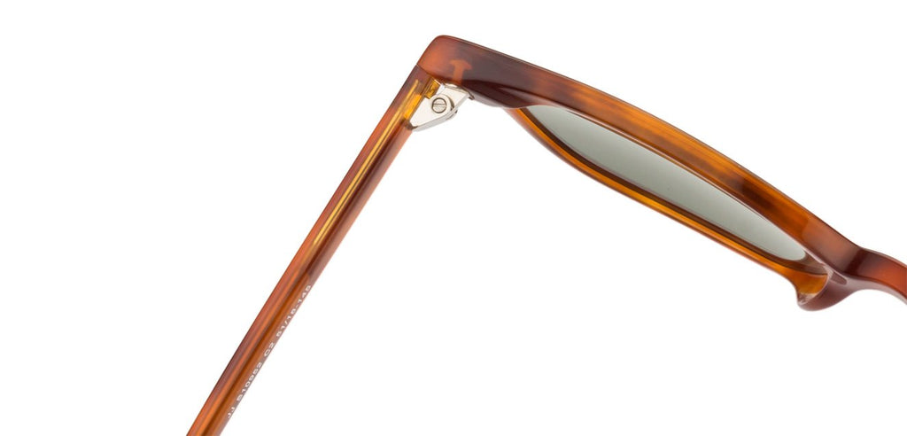 -Frame Wayfarer--SG -Frame Wayfarer--SG