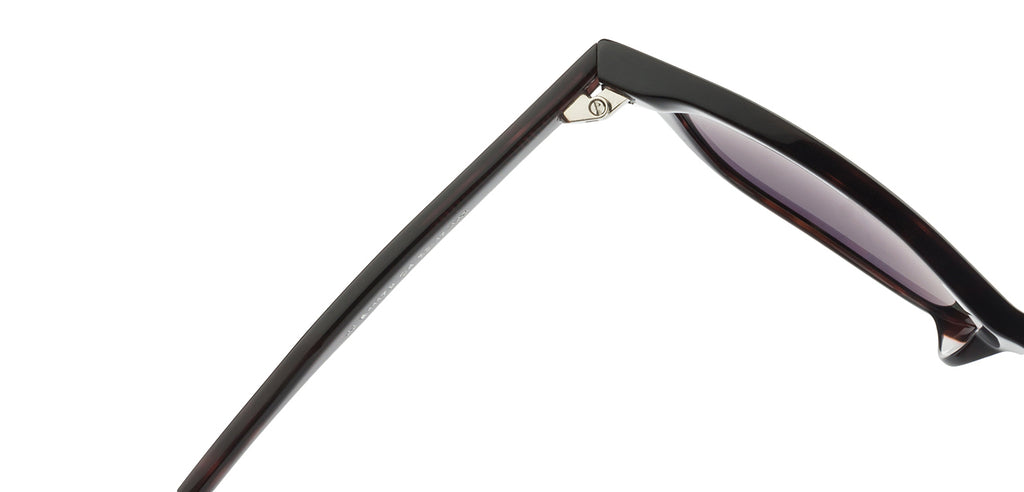 -Frame Wayfarer--SG -Frame Wayfarer--SG