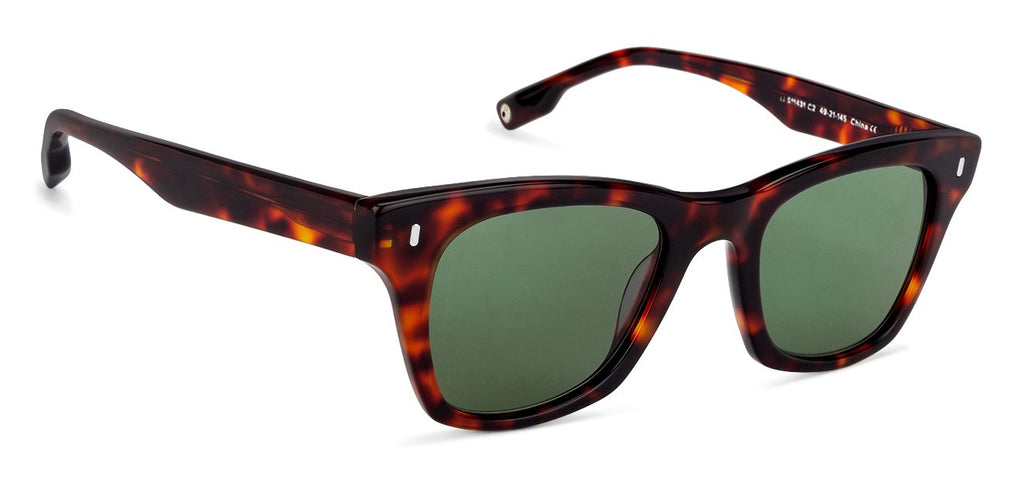 -Frame Wayfarer--SG -Frame Wayfarer--SG