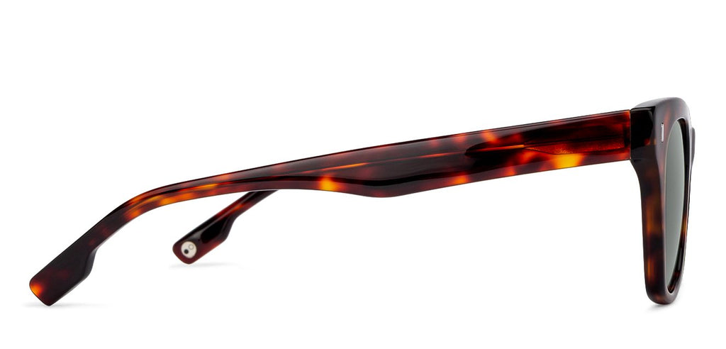 -Frame Wayfarer--SG -Frame Wayfarer--SG