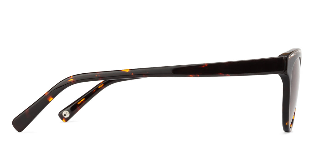 Cat Eye Sunglasses-Frame Cat Eye--SG Cat Eye Sunglasses-Frame Cat Eye--SG