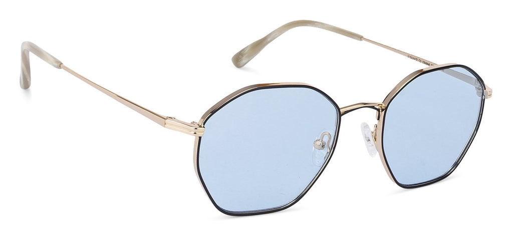 Sunglasses-Frame Hexagonal--SG Sunglasses-Frame Hexagonal--SG