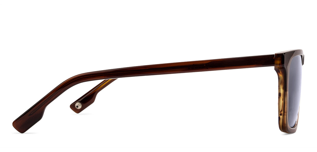 -Frame Wayfarer--SG -Frame Wayfarer--SG