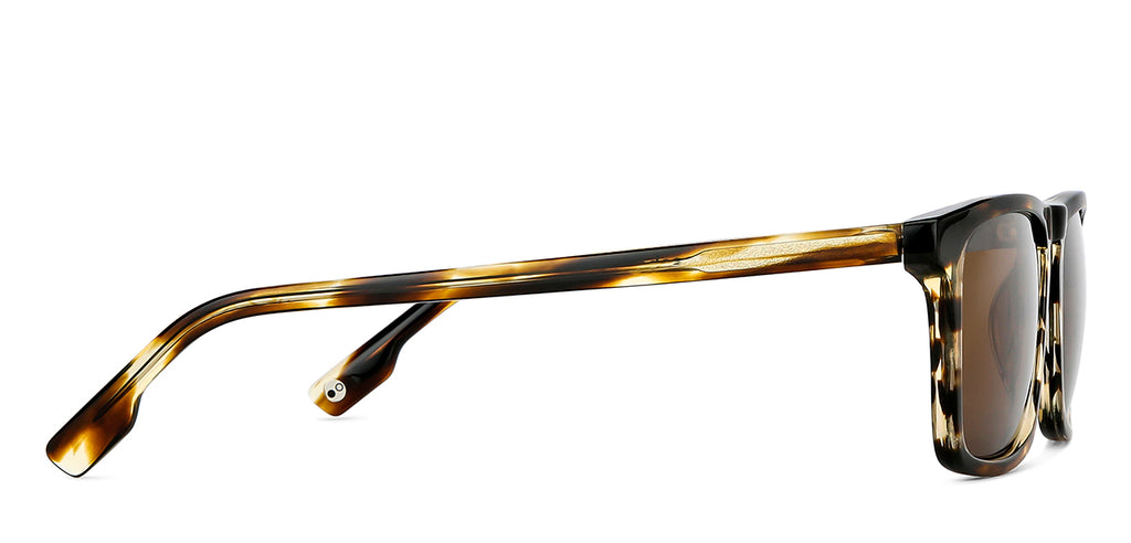 -Frame Wayfarer--SG -Frame Wayfarer--SG