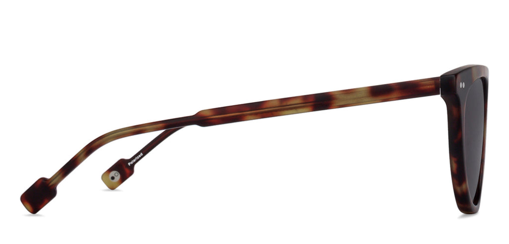 Sunglasses For Men-Frame Round--SG Sunglasses For Men-Frame Round--SG