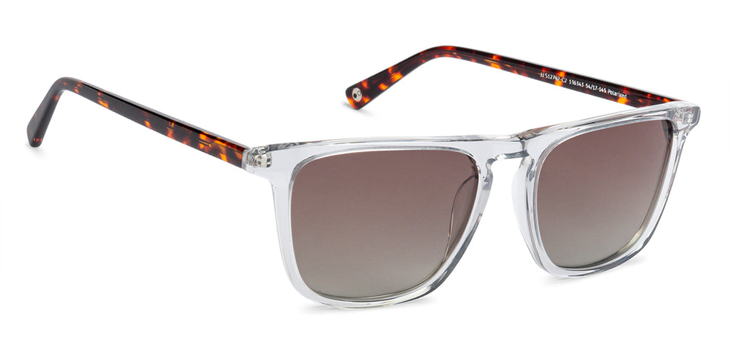 -Frame Wayfarer--SG -Frame Wayfarer--SG
