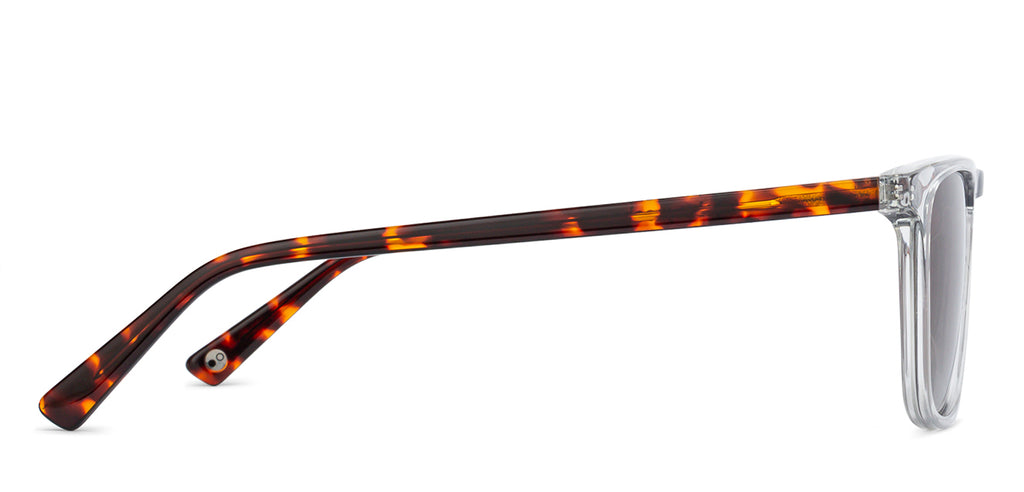 -Frame Wayfarer--SG -Frame Wayfarer--SG
