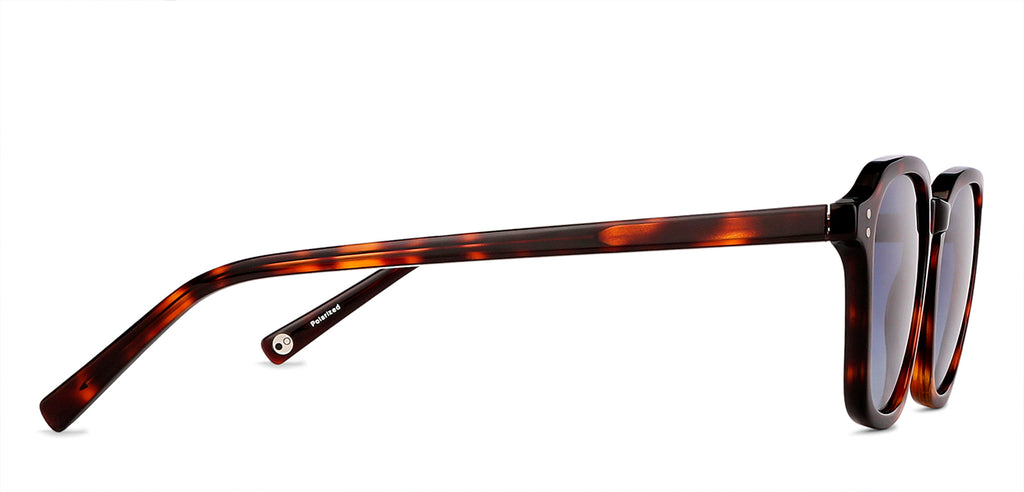 -Frame Wayfarer--SG -Frame Wayfarer--SG