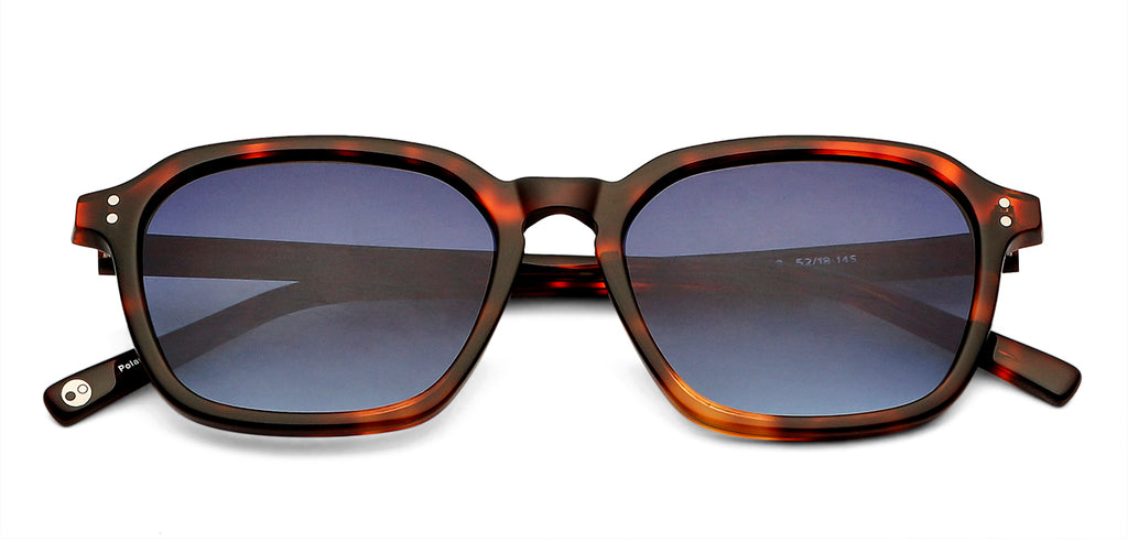-Frame Wayfarer--SG -Frame Wayfarer--SG