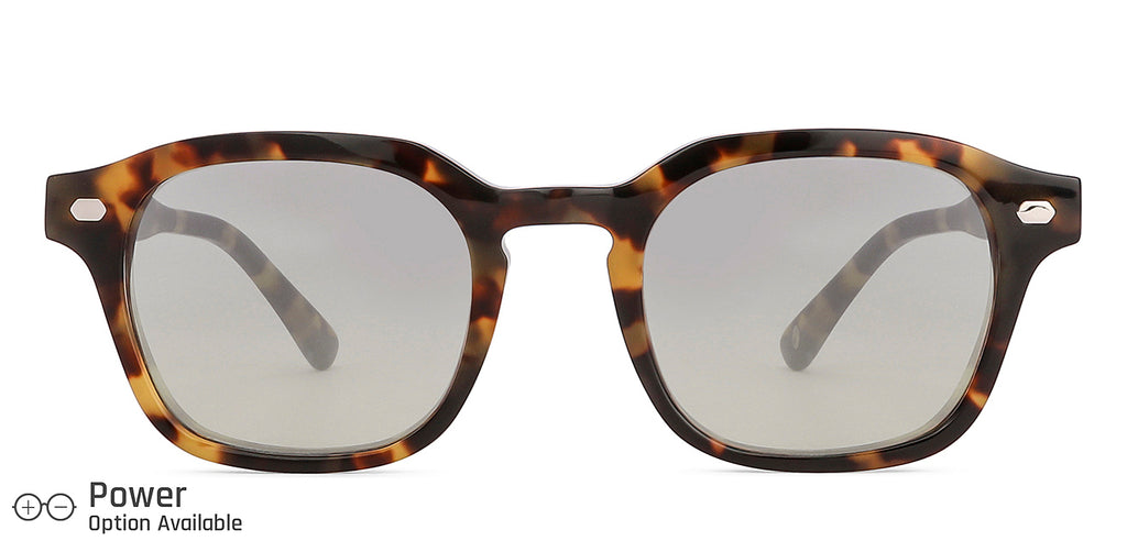 -Frame Wayfarer--SG -Frame Wayfarer--SG