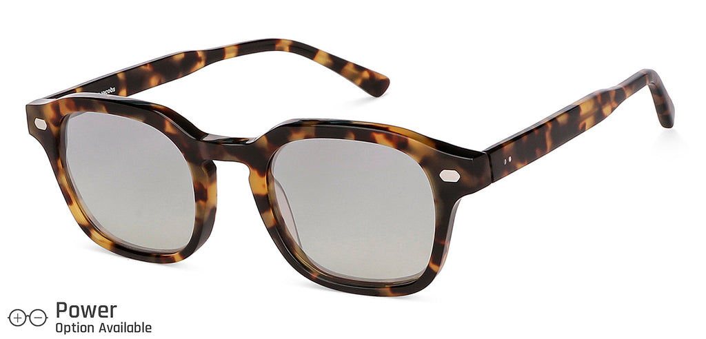 -Frame Wayfarer--SG -Frame Wayfarer--SG