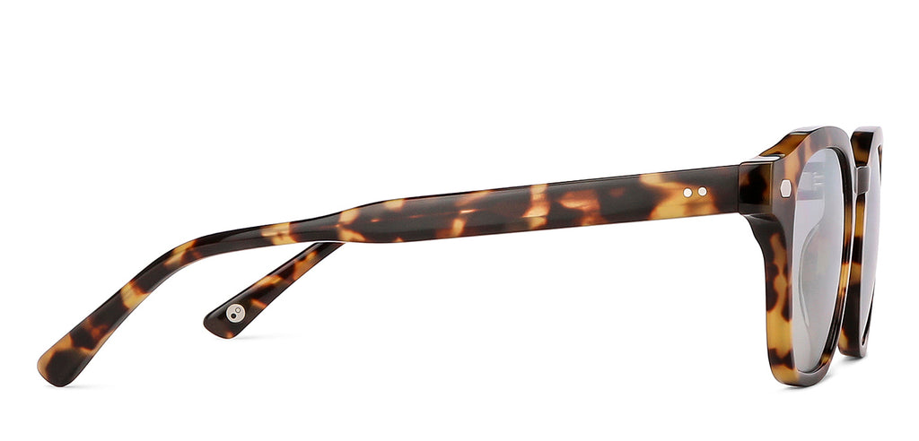 -Frame Wayfarer--SG -Frame Wayfarer--SG