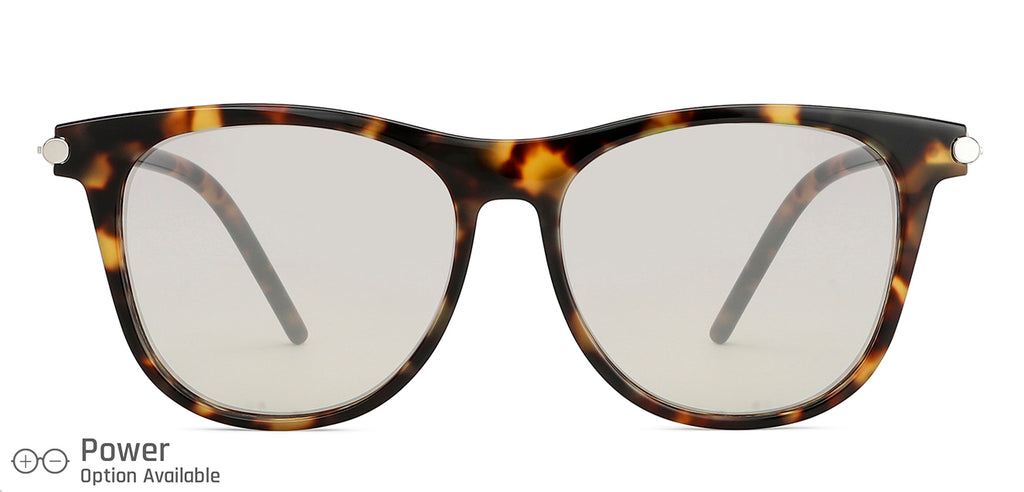 -Frame Wayfarer--SG -Frame Wayfarer--SG