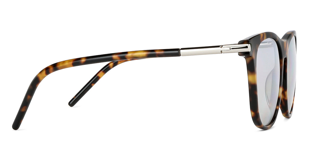 -Frame Wayfarer--SG -Frame Wayfarer--SG