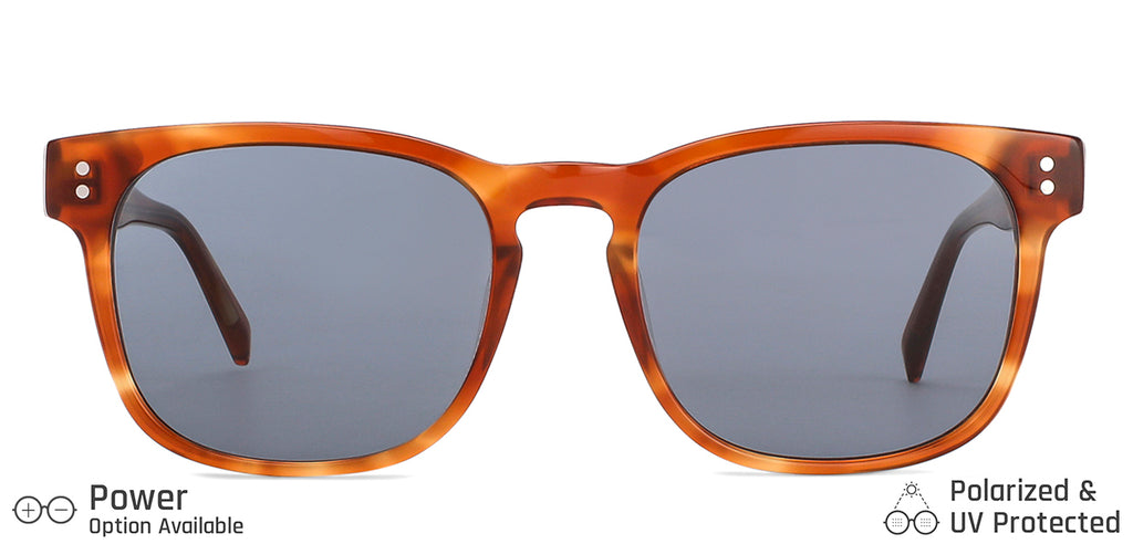 -Frame Wayfarer--SG -Frame Wayfarer--SG