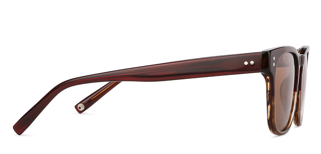 -Frame Wayfarer--SG -Frame Wayfarer--SG