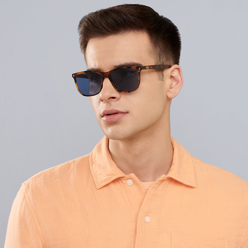 -Frame Wayfarer--SG -Frame Wayfarer--SG
