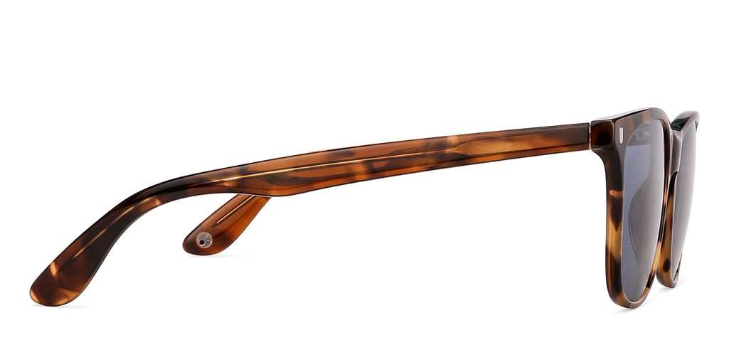 -Frame Wayfarer--SG -Frame Wayfarer--SG