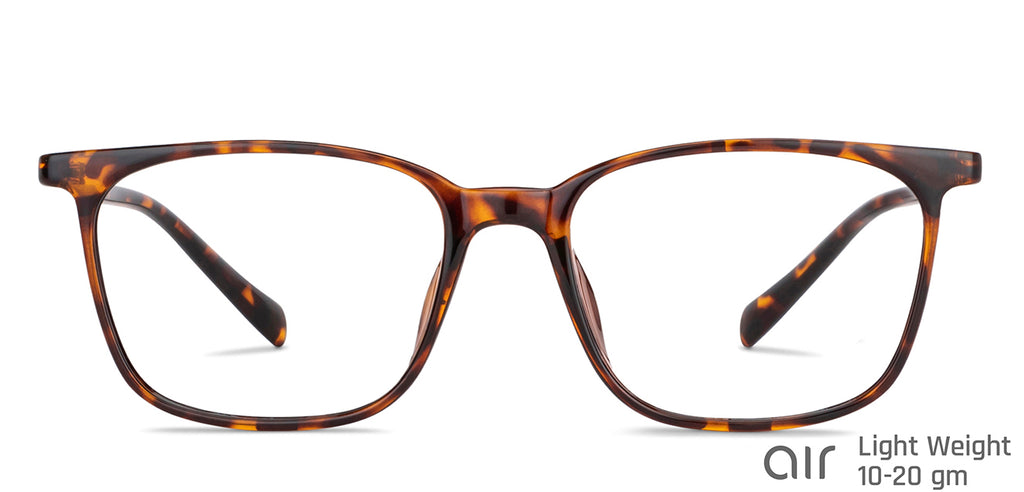 -Frame Wayfarer--EG -Frame Wayfarer--EG
