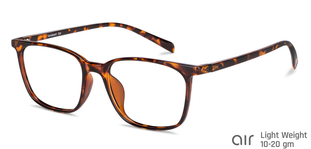 -Frame Wayfarer--EG -Frame Wayfarer--EG