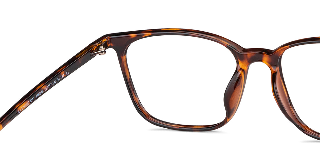 -Frame Wayfarer--EG -Frame Wayfarer--EG