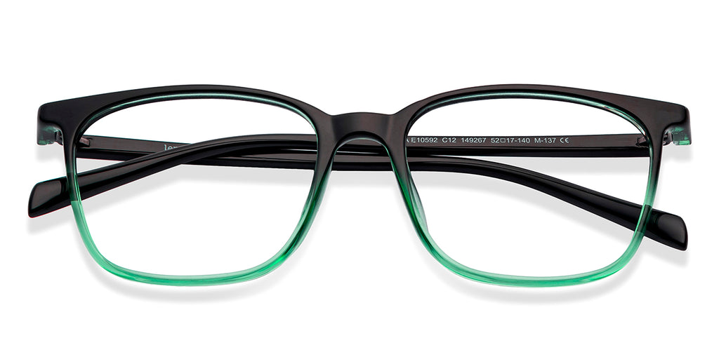 -Frame Wayfarer--EG -Frame Wayfarer--EG