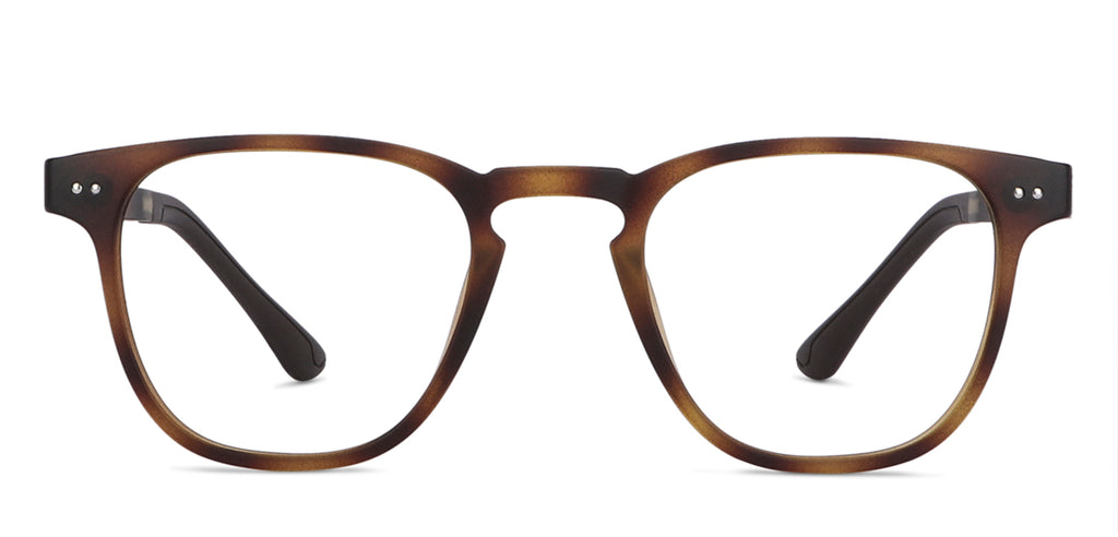 -Frame Wayfarer--EG -Frame Wayfarer--EG