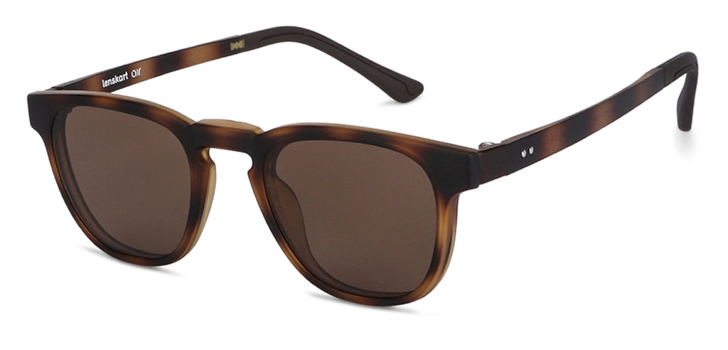 -Frame Wayfarer--EG -Frame Wayfarer--EG