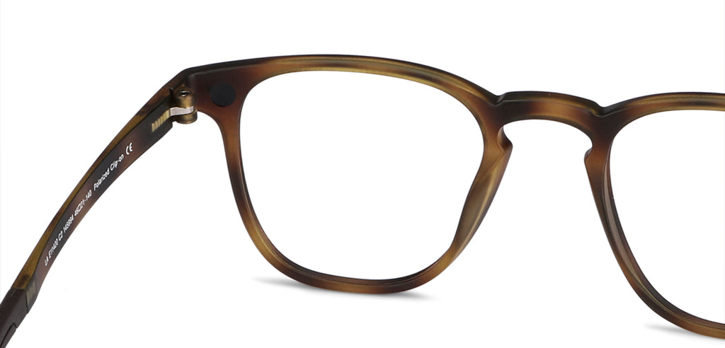 -Frame Wayfarer--EG -Frame Wayfarer--EG