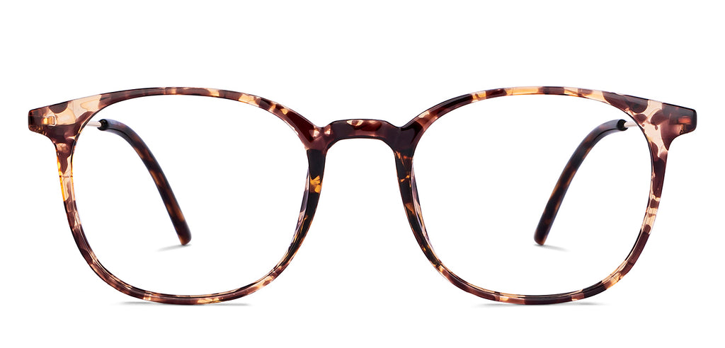 -Frame Wayfarer--EG -Frame Wayfarer--EG