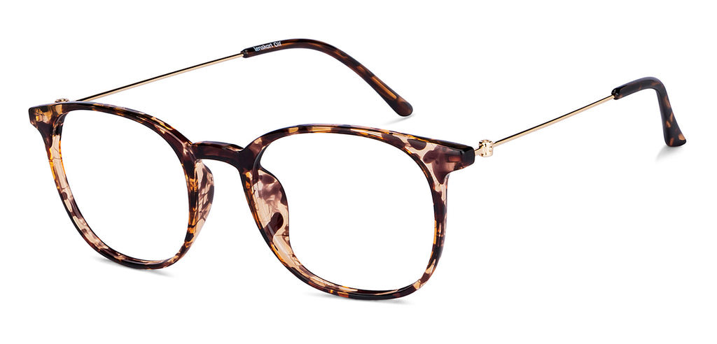 -Frame Wayfarer--EG -Frame Wayfarer--EG