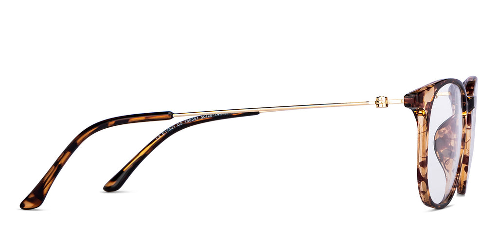 -Frame Wayfarer--EG -Frame Wayfarer--EG