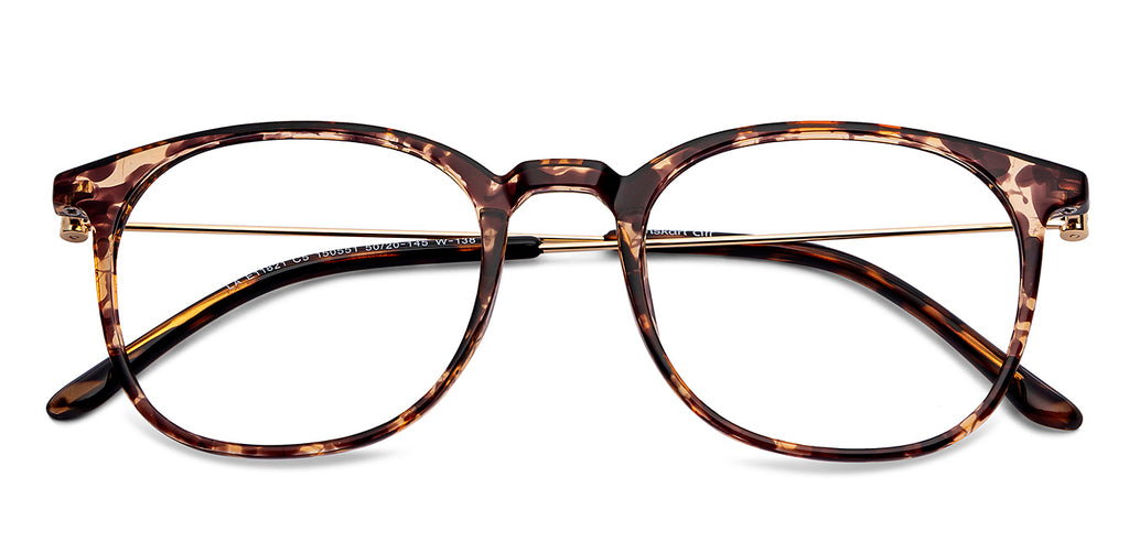 -Frame Wayfarer--EG -Frame Wayfarer--EG