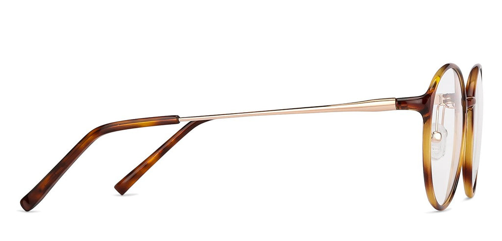 Square Eyeglasses-Frame Round--EG Square Eyeglasses-Frame Round--EG